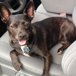 Meet your Posher, Jacquelyn